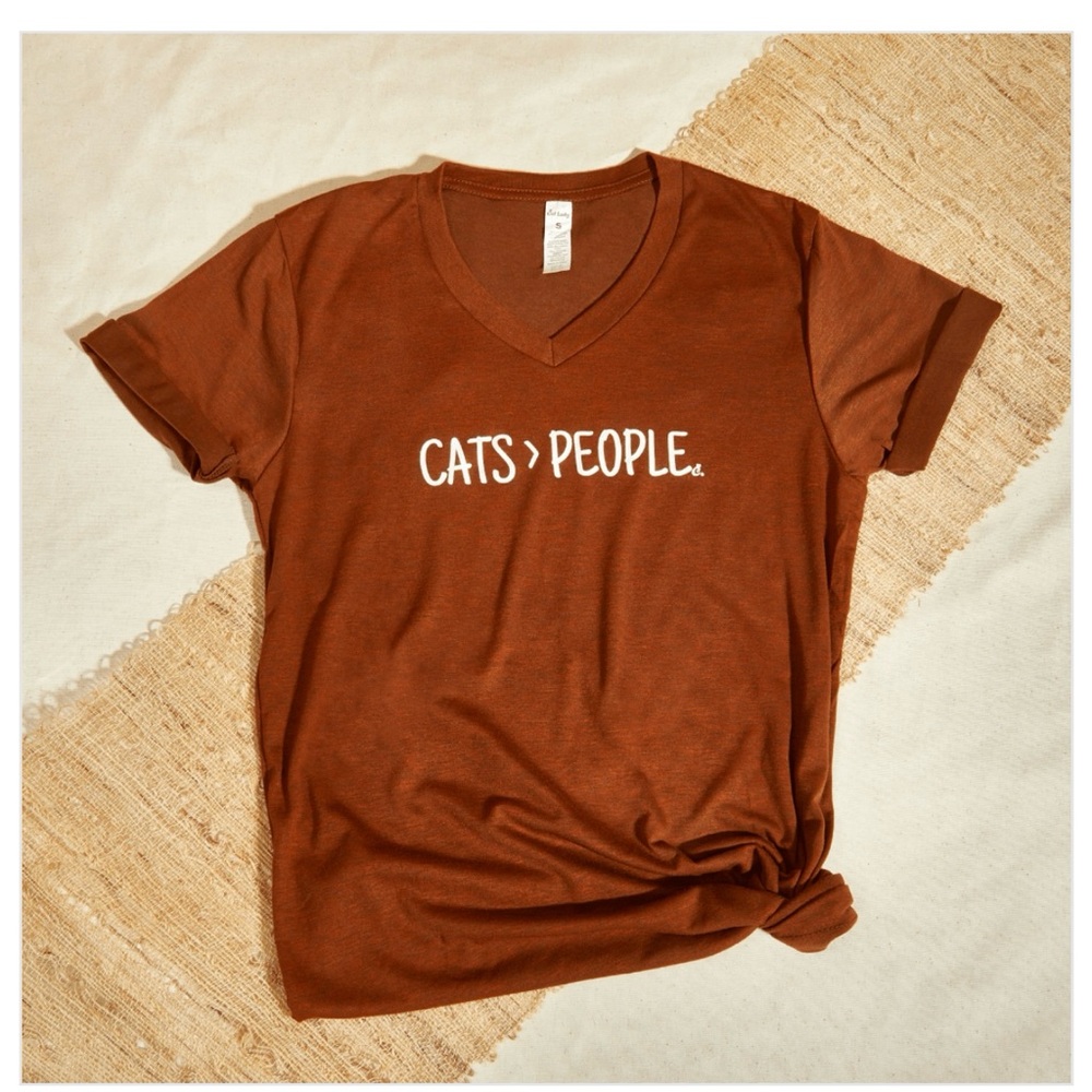 Brown Cat Lady Box CATS > PEOPLE V-neck T-shirt in a size L NWOT